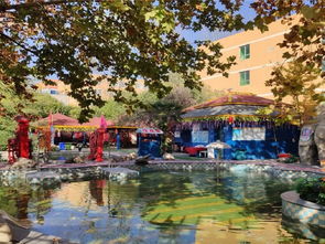 西安秦龍溫泉游玩全攻略 門票價格、地址、溫泉體驗與貼心貼士