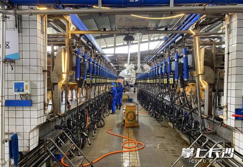 數(shù)字技術(shù)成農(nóng)業(yè)生產(chǎn)“新農(nóng)具” 智能設(shè)備助推長沙農(nóng)業(yè)產(chǎn)業(yè)提質(zhì)升級與溫泉設(shè)備技術(shù)研發(fā)新動(dòng)向